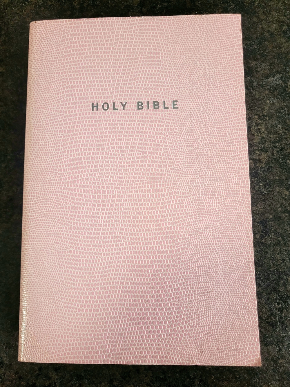 Zondervan New International Version Pink Holy Bible Accessories